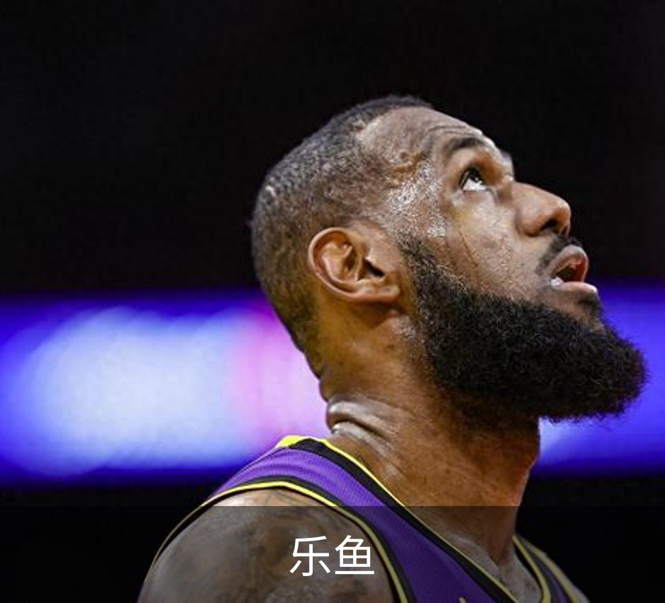 乐鱼简介